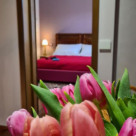 Zi Bitta - Guest House Palmanova Exterior photo